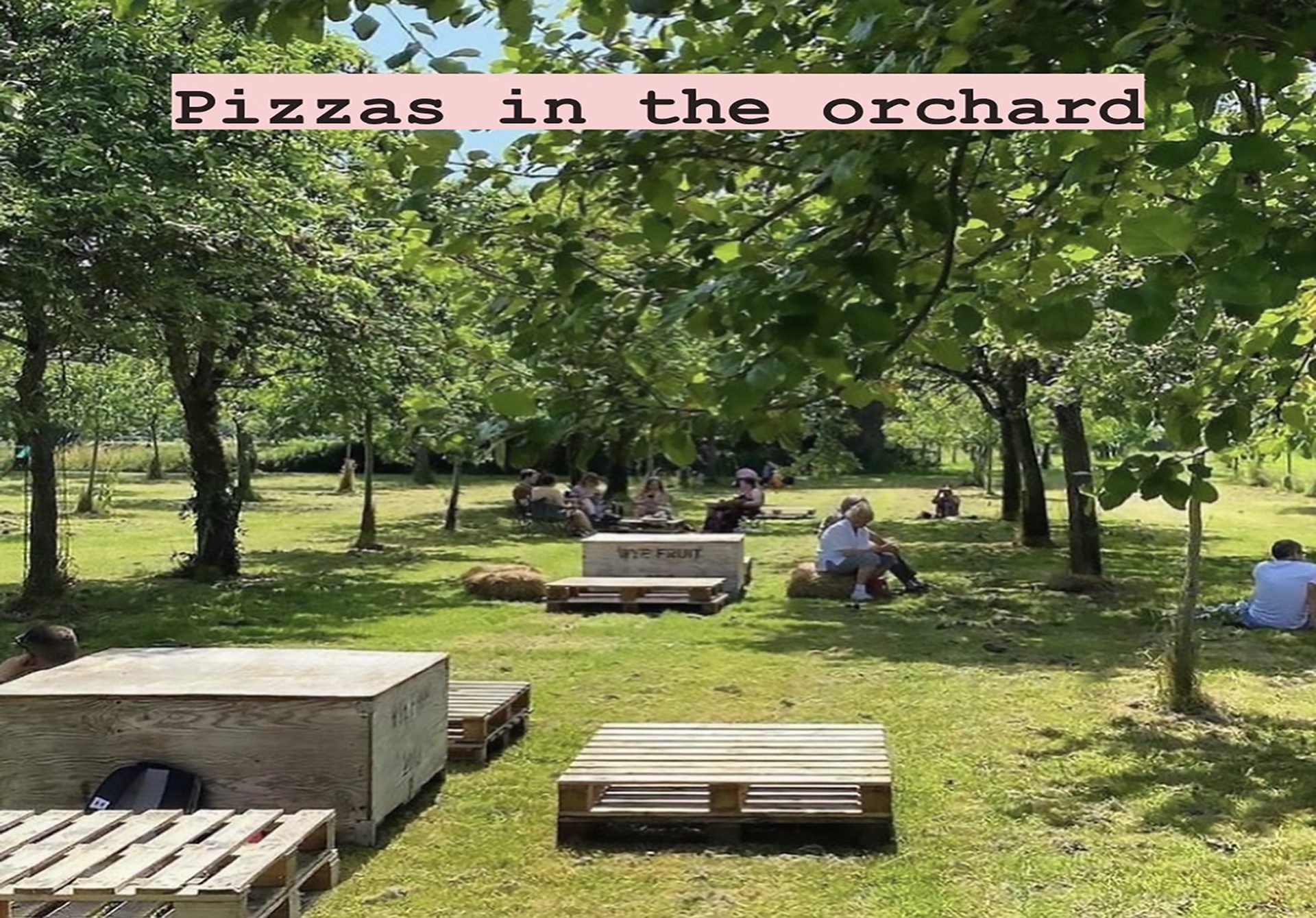 Pizza in the Orchard + Cider Bar